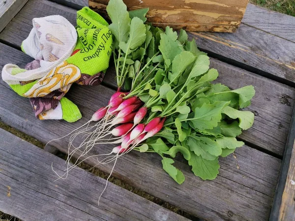 Radis frais sur tiroir en bois avec un torchon — Photo