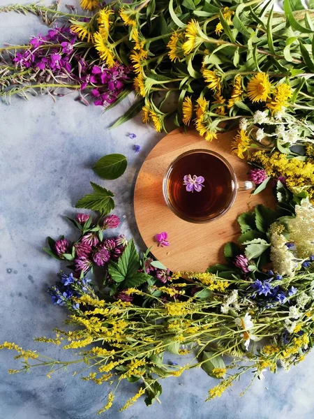 Espiral de hierbas del bosque alrededor de una taza de té medicinal — Foto de Stock