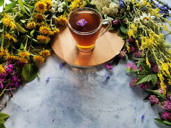 Hierbas del bosque en una mesa gris y delicioso té de hierbas — Foto de Stock