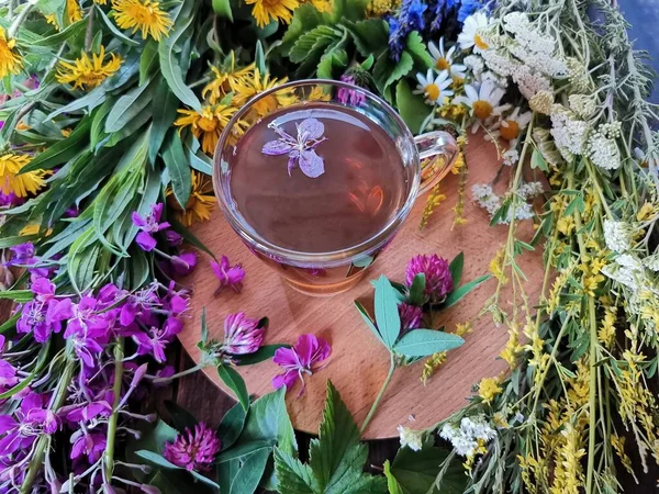 Hierbas del bosque fresco y té de ellos en una taza de vidrio — Foto de Stock