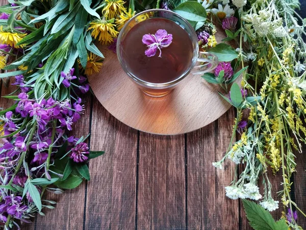 Hierbas del bosque fresco y té de ellos en una taza de vidrio en la mesa marrón — Foto de Stock