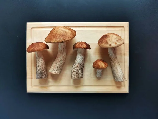 Quadro de madeira horizontal com cogumelos selvagens em um fundo escuro — Fotografia de Stock