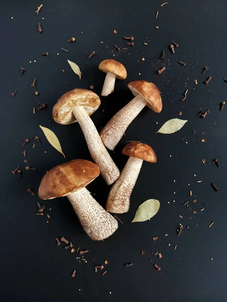 Birch mushrooms on a paper bag and black background — Stock Photo, Image