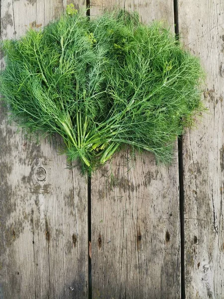 Eneldo verde fresco se encuentra en una mesa de madera — Foto de Stock