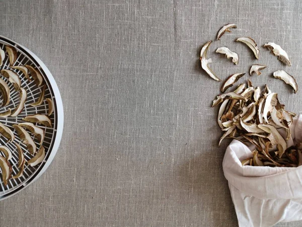 Kurutucuda kurutulmuş mantarlar ve bez bir torba içinde, tuvale saçılmış bir şekilde uzanmak için. 