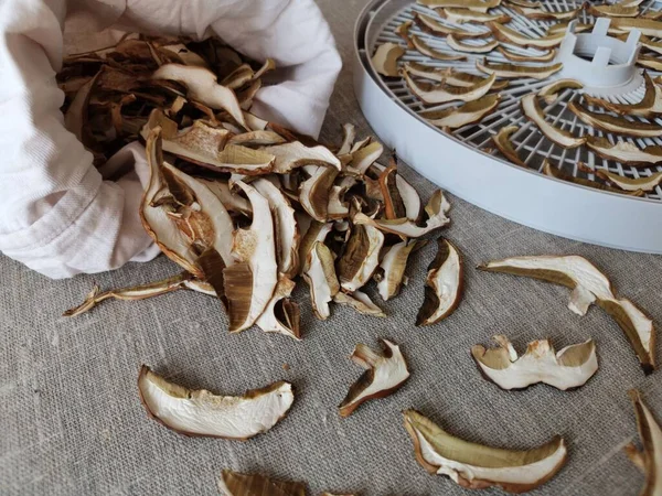 Kurutucuda kurutulmuş mantarlar ve bez bir torba içinde, tuvale saçılmış bir şekilde uzanmak için. 
