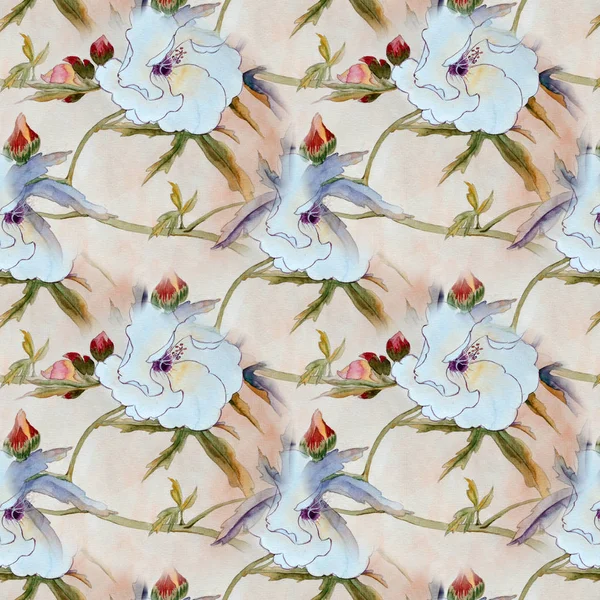 Białych hibiskusów kwiatki, akwarela malarstwo — Zdjęcie stockowe