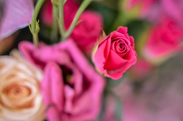 Hermosas rosas rosadas en suave ramo de flores de primavera — Foto de Stock