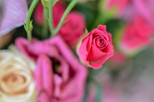 Mooie roze rozen in zachte lente bloem boeket — Stockfoto