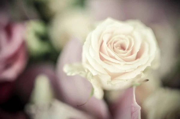 Hermosas rosas rosadas en suave ramo de flores de primavera — Foto de Stock