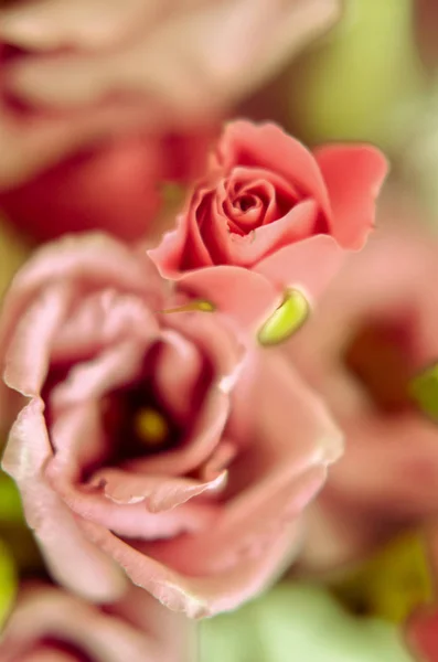 Rosas rosadas en ramo de fondo. Filtro retro — Foto de Stock