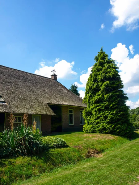 Çatı sazdan ve çam ağacından yapılma ev — Stok fotoğraf