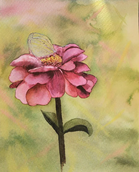 蝴蝶在花朵上飞舞. 美丽的蝴蝶在粉红色的紫丁香花上，画着. — 图库照片