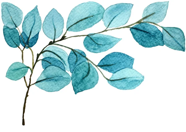 蓝色复古异国情调薄荷叶分枝。 精美精致的水彩花，用于婚宴请柬、贺卡、博客、海报 — 图库照片#
