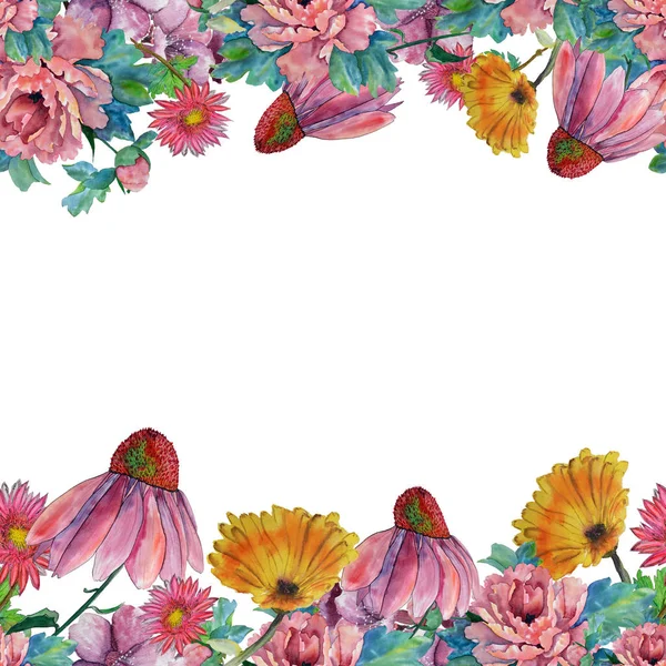 장식 수채화 꽃 프레임 일러스트, 식물꽃 조성 — 스톡 사진
