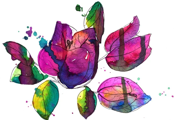 Illusztrációja virág rózsaszín bougainvillea papír virág. Akvarell festmény retusálás — Stock Fotó