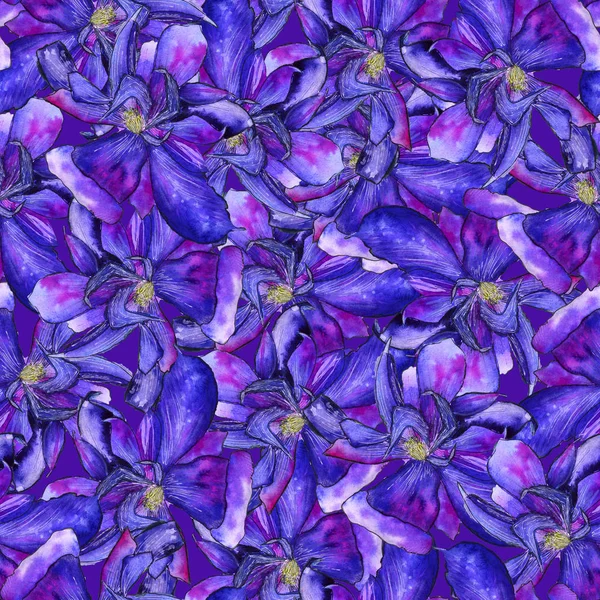 Clematis bright blue flower Seamless Pattern — ストック写真