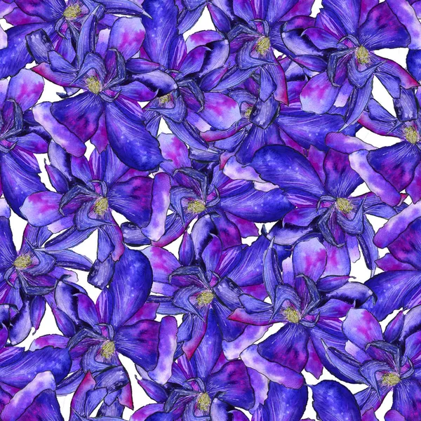 Clematis brillante fiore blu modello senza soluzione di continuità — Foto Stock