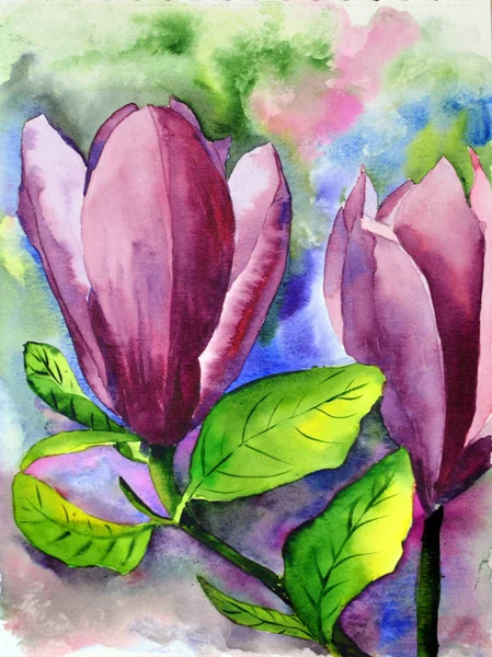 两朵水彩画，手绘木兰花，粉红色花，绿叶 — 图库照片