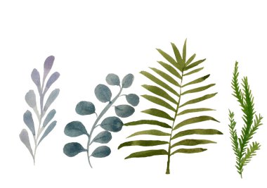 Dört tropik yaprak. Suluboya ile elle çizilmiş yapraklar