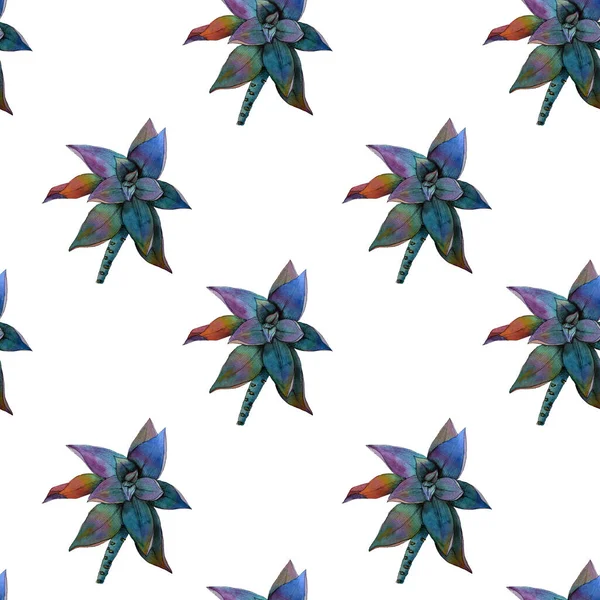 Beyaz arka planda sulu boya el çizimi desenleri. İçerideki bitki sulu.