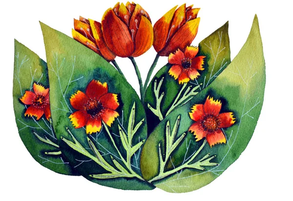 Sárga és narancs tulipán csikkmag virág ágak akvarell háttér — Stock Fotó