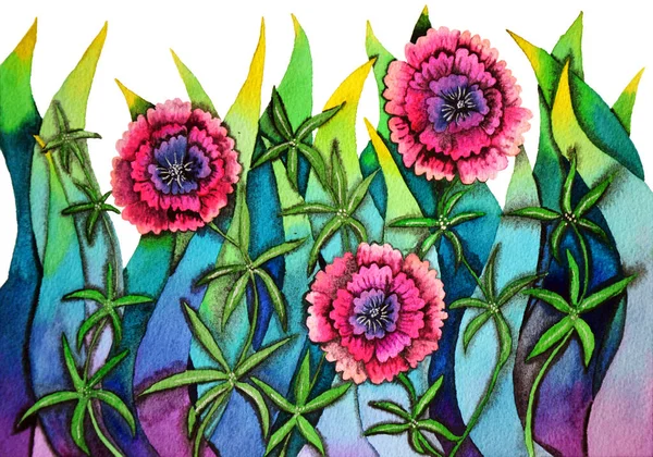 Portulaca oleracea fleur avec aquarelle techniques illustration — Photo