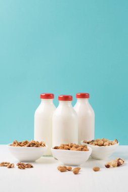 Vegan fındık süt ve malzemeler