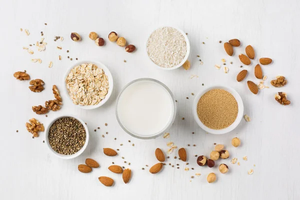 Vegan fındık süt ve malzemeler — Stok fotoğraf