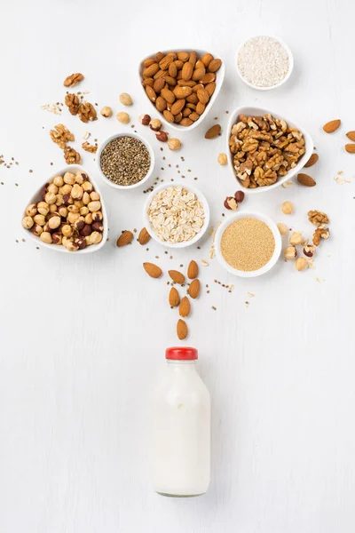 Vegan nut milk and ingredients — Stock Photo, Image