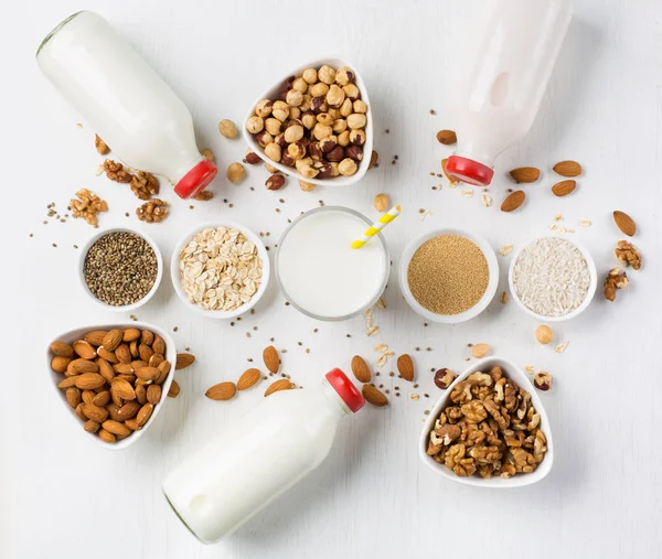 ビーガンナッツミルクと食材 — ストック写真