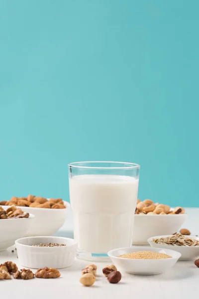 Leche de nuez vegana e ingredientes — Foto de Stock