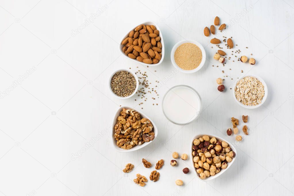 Vegan nut milk and ingredients