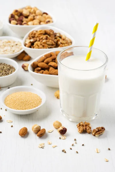 Vegan noten melk en ingrediënten — Stockfoto