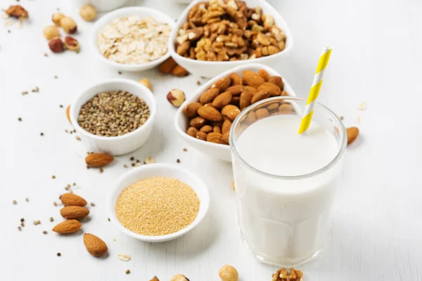 Leche de nuez vegana e ingredientes — Foto de Stock