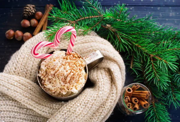 Chocolat chaud à la menthe poivrée maison de Noël — Photo