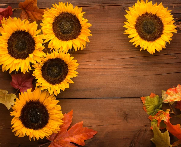 Herbstferienkomposition Sonnenblumen Getrocknete Blätter Kürbisse Äpfel Und Vogelbeeren Auf Rustikalem — Stockfoto