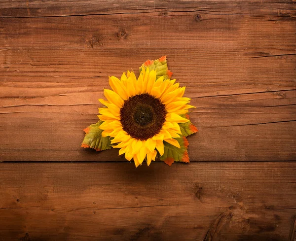 Jesienna Kartka Życzeniami Piękne Świeże Słoneczniki Liśćmi Rustykalnym Drewnianym Tle — Zdjęcie stockowe