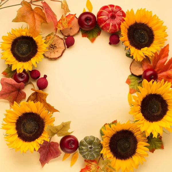 Beautiful Fresh Sunflowers Leaves Yellow Background Flat Lay Top View — Stock Photo, Image