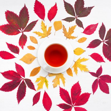 Sonbahar yaratıcı kompozisyonu. Kırmızı yapraklar, yabani üzümler, beyaz ahşap arka planda bir fincan çay. Sonbahar, Şükran Günü konsepti. Düz konum, üst görünüm, kopyalama alanı.