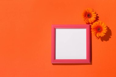 Sonbahar yaratıcı kompozisyonu. Turuncu çiçekler Gerbera papatya, kağıt turuncu arka planda boş pembe çerçeve. Gölgeli sert bir ışık. Sonbahar, Şükran Günü konsepti. Düz konum, üst görünüm, kopyalama alanı.