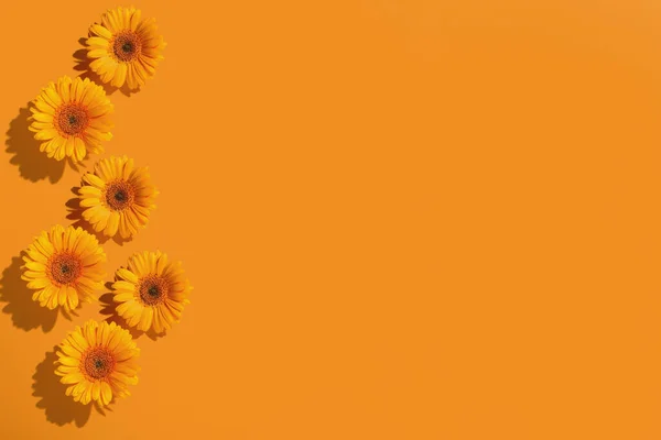 Płynny Wzór Piękny Kwiat Pomarańczy Gerbera Stokrotka Papierowym Pomarańczowym Tle — Zdjęcie stockowe