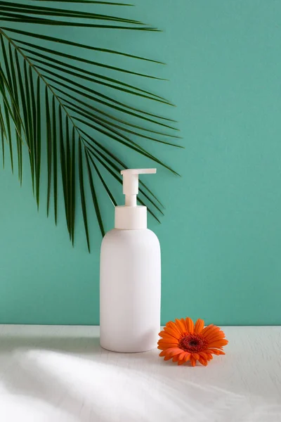 Markalaşma Ürün Sunumu Için Minimum Arkaplan Gölge Palmiyesi Yapraklı Beyaz — Stok fotoğraf