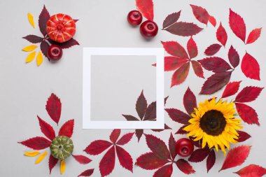 Sonbahar evi kompozisyonu. Kırmızı yapraklar yabani üzüm, boş çerçeve, kağıt grisi arka planda ayçiçeği. Sonbahar, Şükran Günü konsepti. Düz konum, üst görünüm, kopyalama alanı.