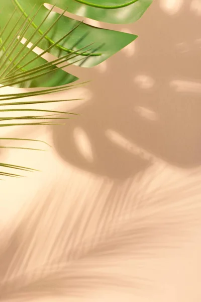 Palmowe Tropikalne Liście Cienie Beżowym Tle Stylowe Tło Lata Twarde — Zdjęcie stockowe
