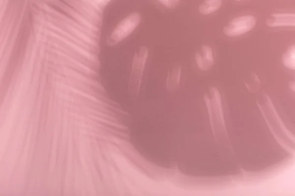 Пальмове Тропічне Листя Тіні Рожевому Тлі Літній Стильний Фон Жорсткі — стокове фото