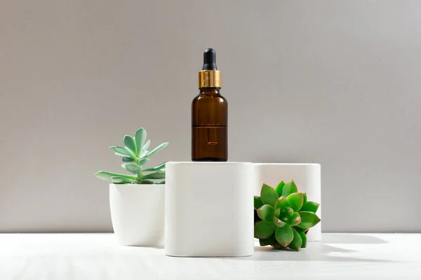 Cosmetic bottle with pipette on gray background, various cactus and succulent plants in white pot. Mockup, copy space. Cosmetic women eco-friendly natural skin care product on sunny tropical backdrop