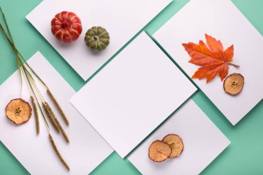 Markalaşma ve ürün sunumu için minimum arkaplan. Sonbahar kompozisyonu. Düz konsept. Tatil davetiyesi ve kart modeli. Kağıt mavisi nane arkaplanı.