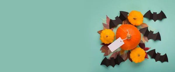 Stendardo Decorazioni Carta Halloween Sfondo Blu Menta Pipistrelli Neri Zucche — Foto Stock