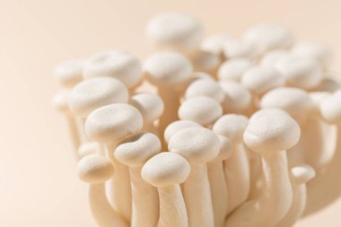 Taze shimeji (beyaz kayın) mantarları pastel bej kağıt arka planda. Superfood Trend kuru ve taze mantarlar. Üst görünüm, alanı kopyala.